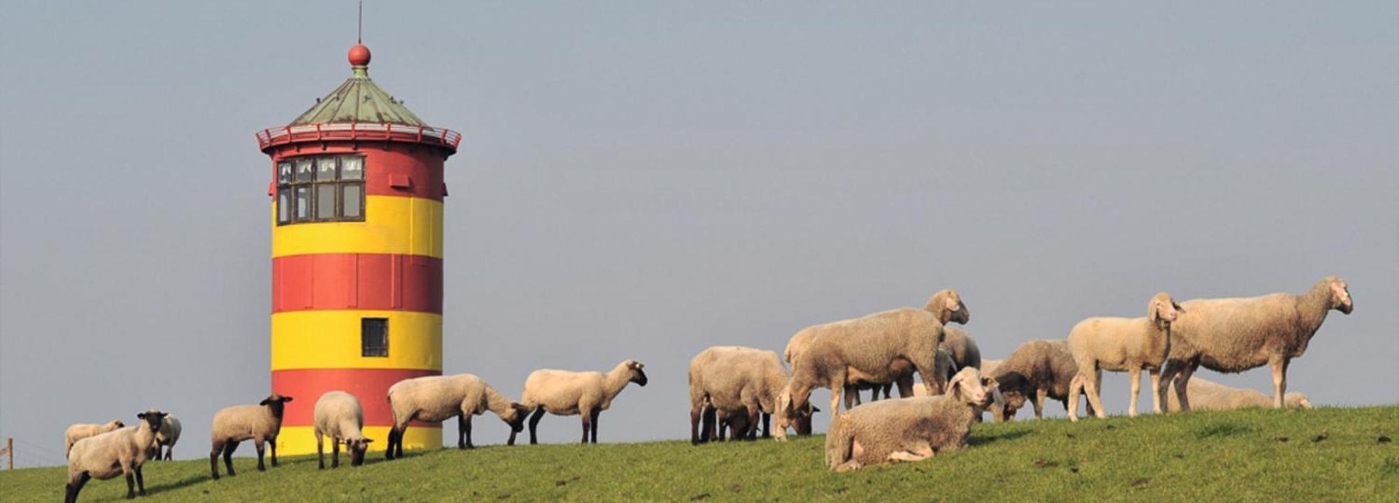 Vogelnest Hage Exterior foto